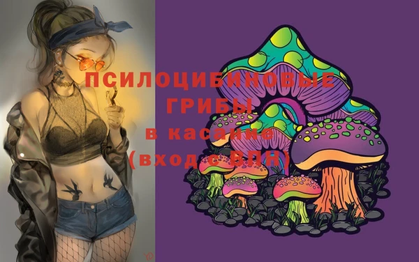 мдпв Абинск