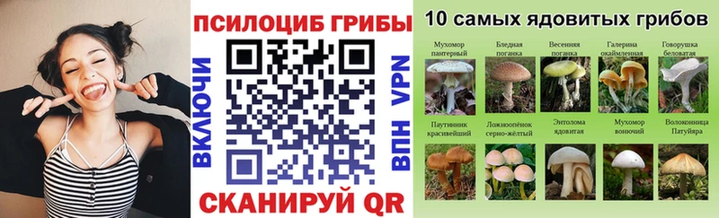 Псилоцибиновые грибы MAGIC MUSHROOMS Сураж